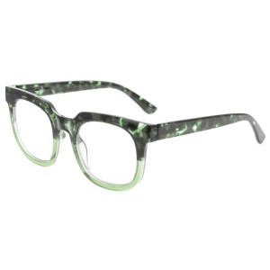 Plastic Reading Glasses